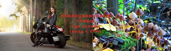 марки lsd Алзамай