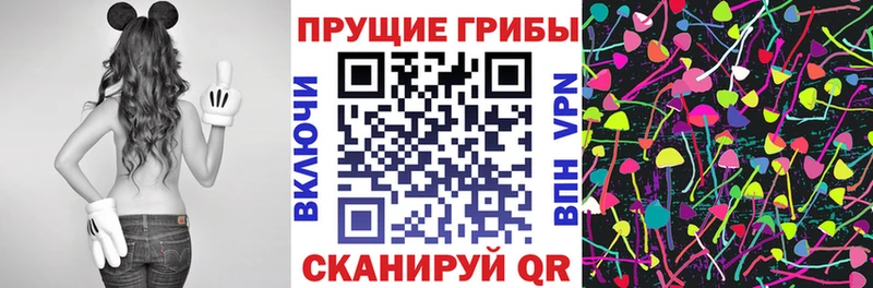 ОМГ ОМГ зеркало  Южно-Сухокумск  Псилоцибиновые грибы Magic Shrooms 